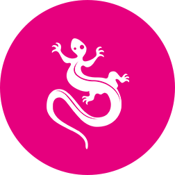 Logo de Lézards Création