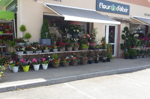 Fleur d’Elixir Jaidemescommercants.fr Fleur d’Elixir Jaidemescommercants.fr